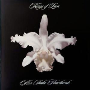 AHA SHAKE HEARTBREAK