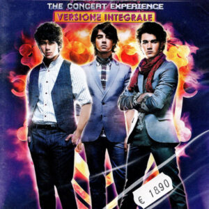 THE CONCERT EXPERIENCE