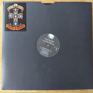 APPETITE FOR DESTRUCTION