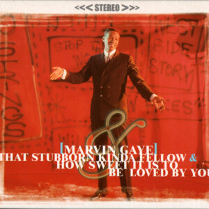 THAT STUBBORN KINDA FELLOW